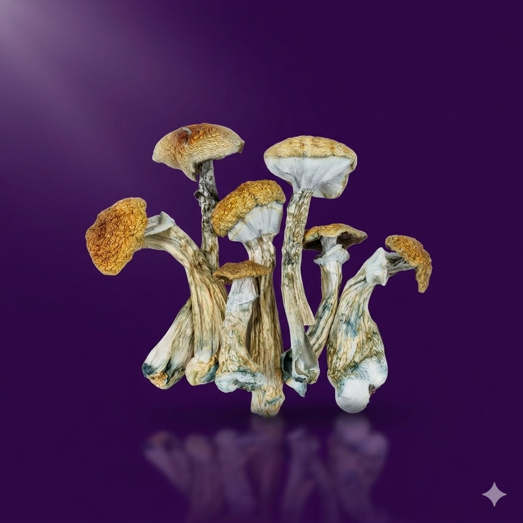 Gemini_Generated_Image_hsgdmhsgdmhsgdmh