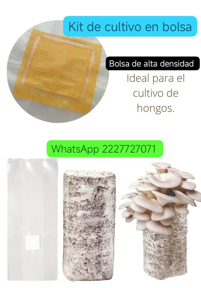 PAQUETE 1BÁSICO EN BOLSA✨🍄